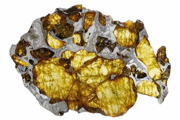 Polished Imilac Pallasite Meteorite (g) Slice #302094